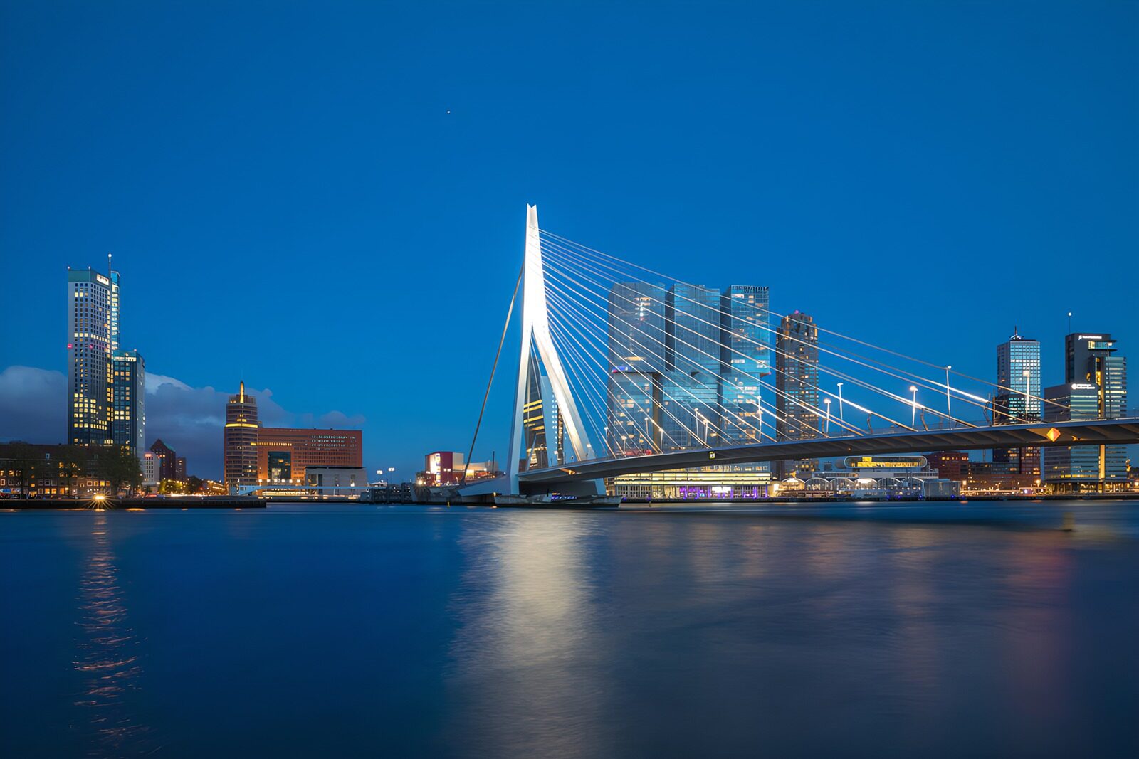 TPDE53213: Die beeindruckende Erasmusbrücke bei Nacht