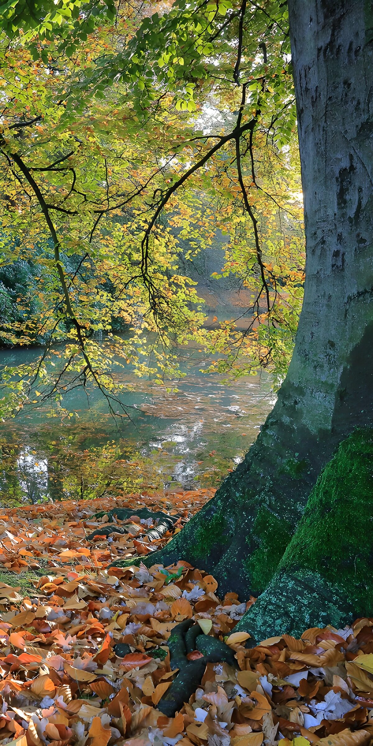 TPDE50781: Herbstliche Idylle am Wasser