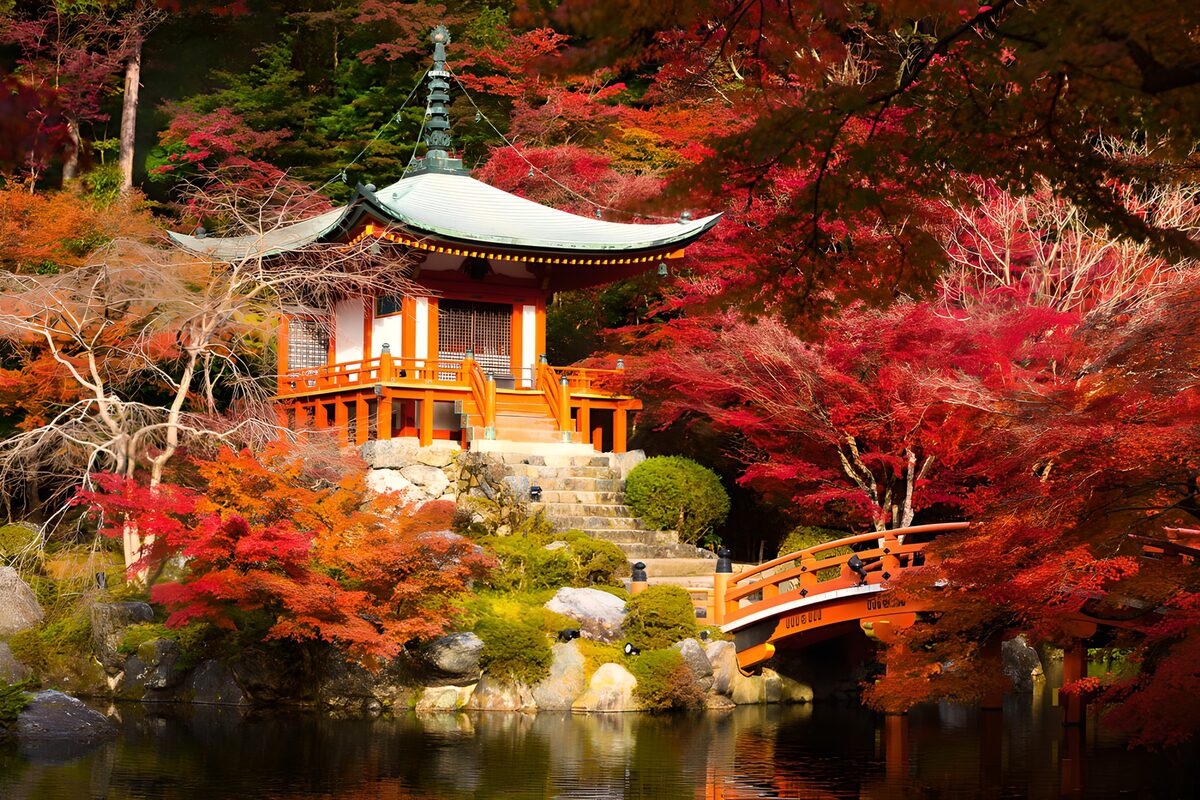 TPDE42330: Herbstliche Ruhe im japanischen Garten