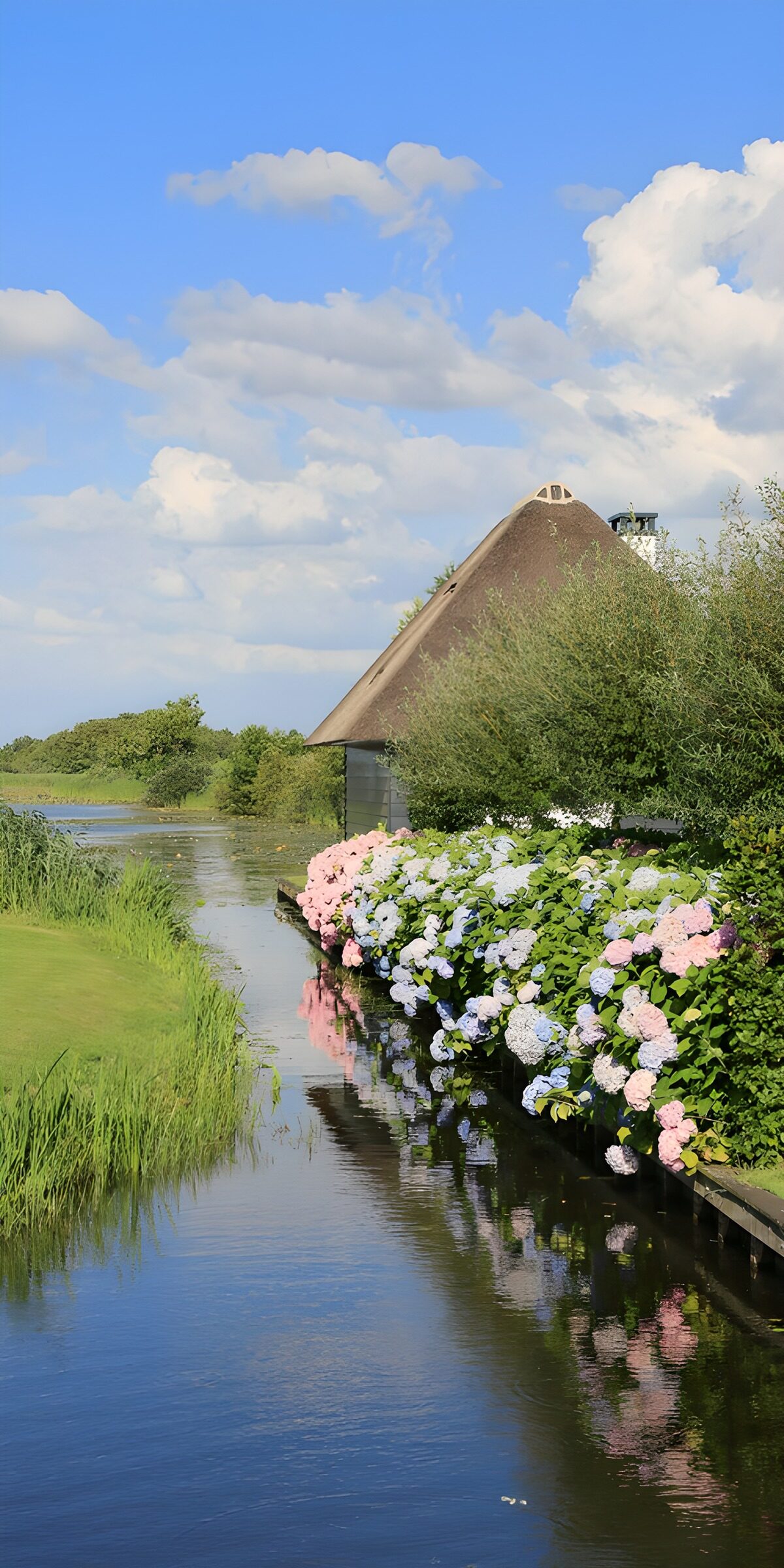 TPDE18837: Idylle am Wasser: Sommerblüten