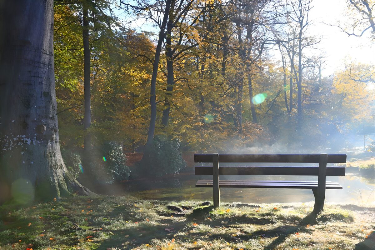 TPDE69327:  Bank im Nebel der Herbstsonne 2