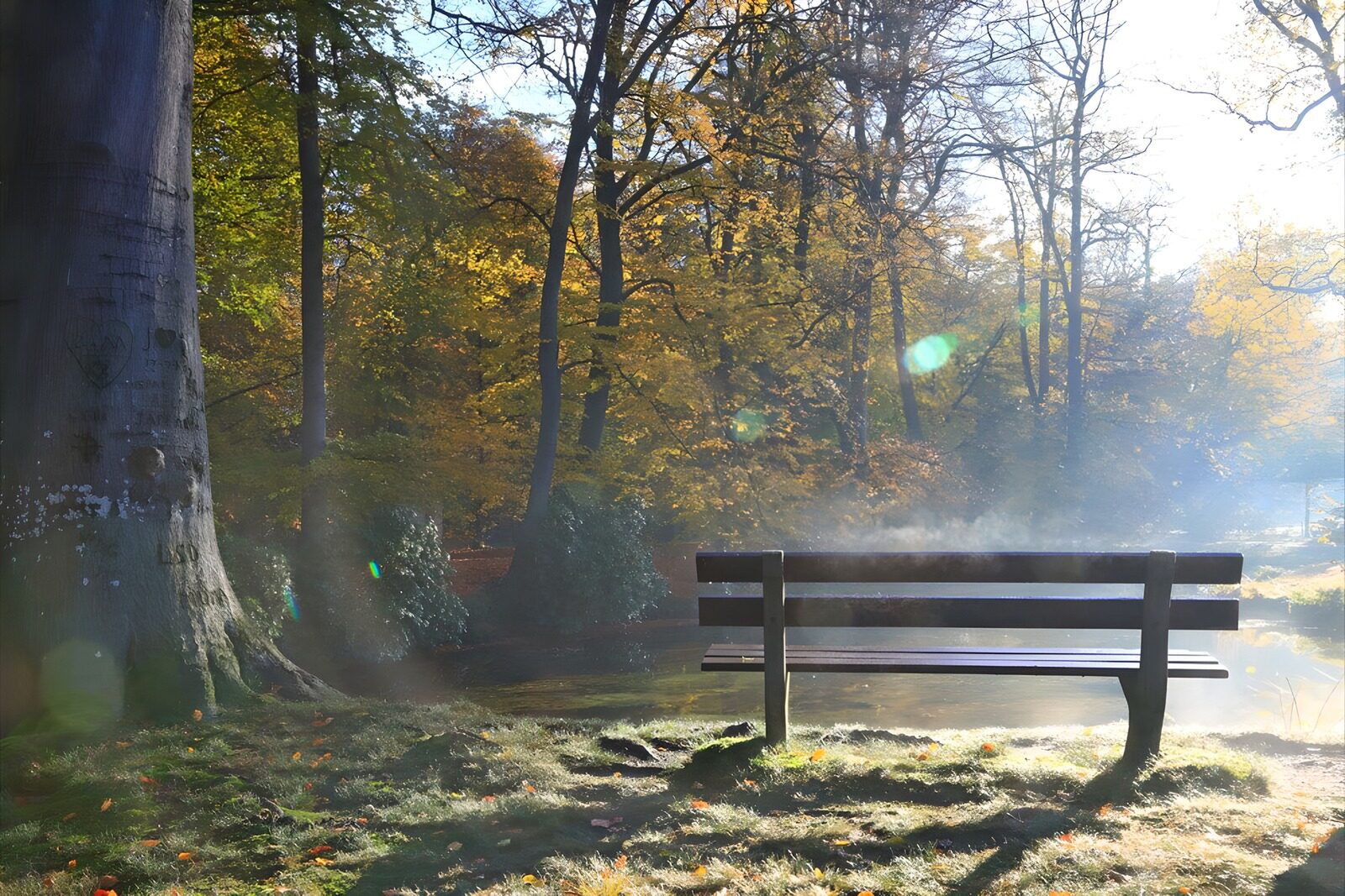 TPDE69327:  Bank im Nebel der Herbstsonne 2