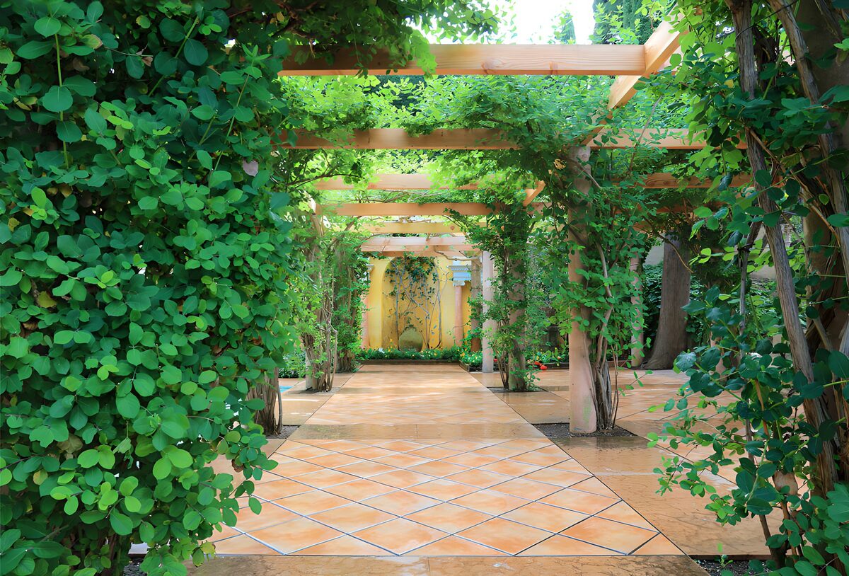 TPDE47834: Grüner Gartenweg mit Holzpergola