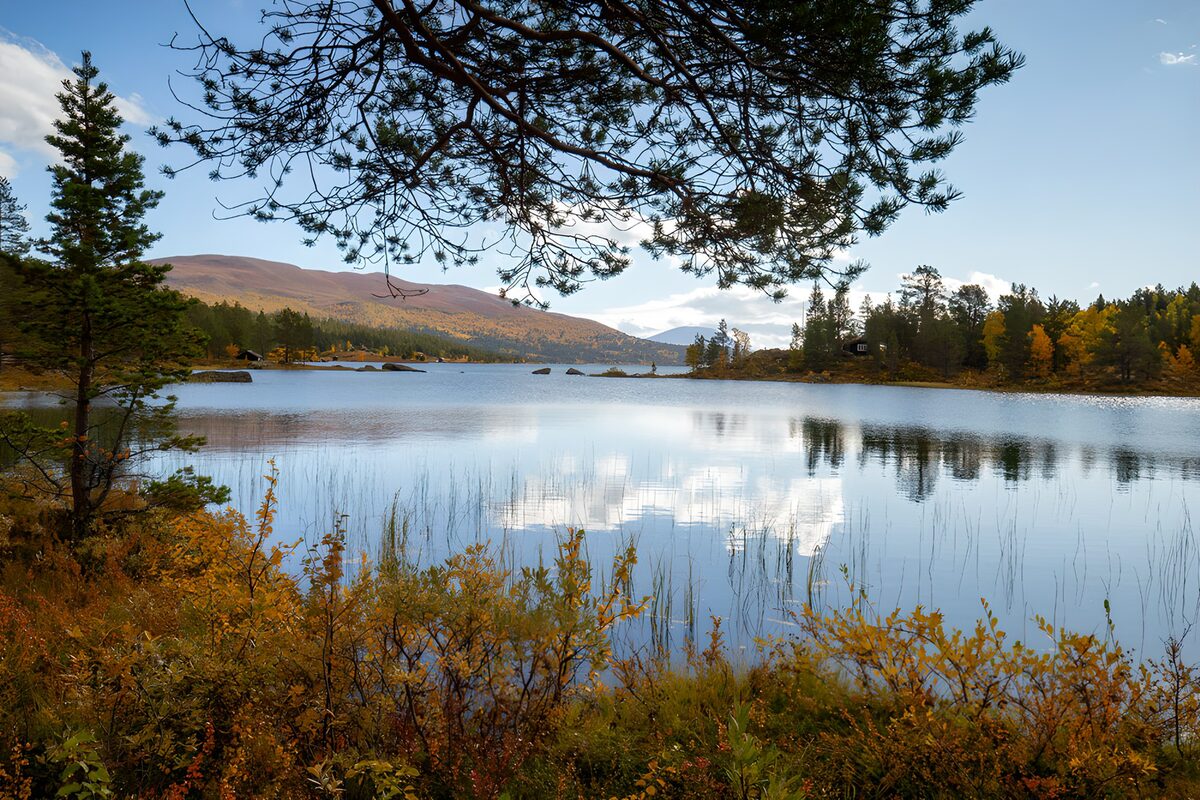 TPDE88385: Ruhiger Herbstsee mit buntem Ufer
