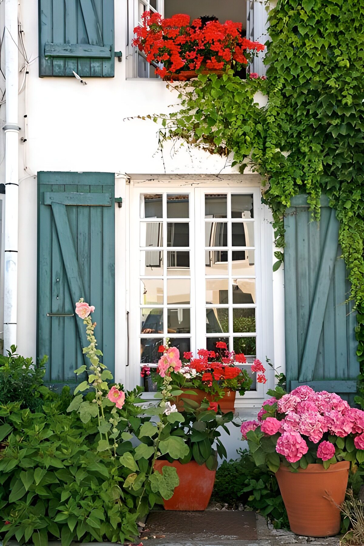 TPDE47030: mit Efeu bewachsenem Haus mit blauen Fensterläden 