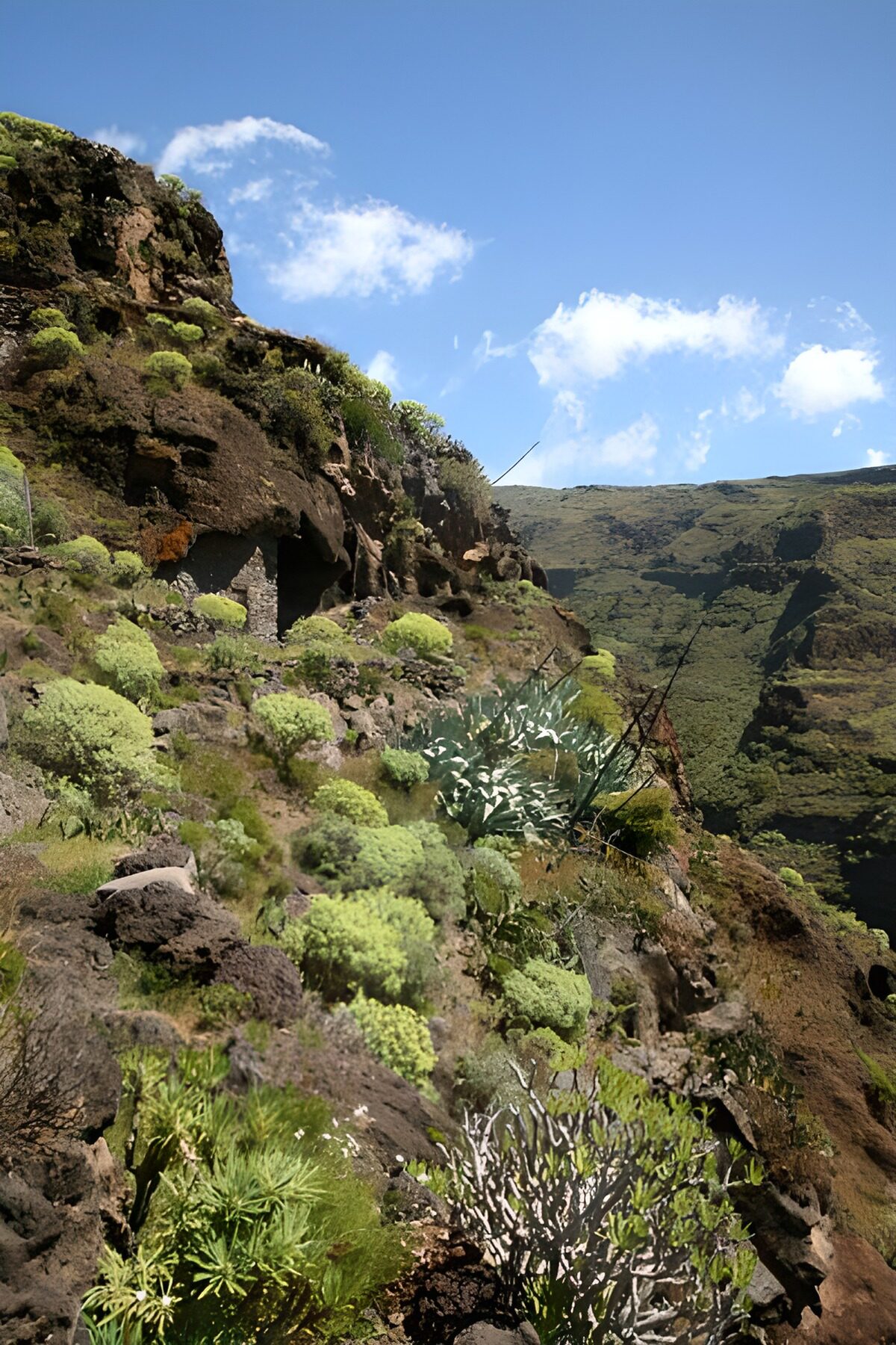 TPDE94366: Panorama der Gebirgslandschaft auf La Gomera 28