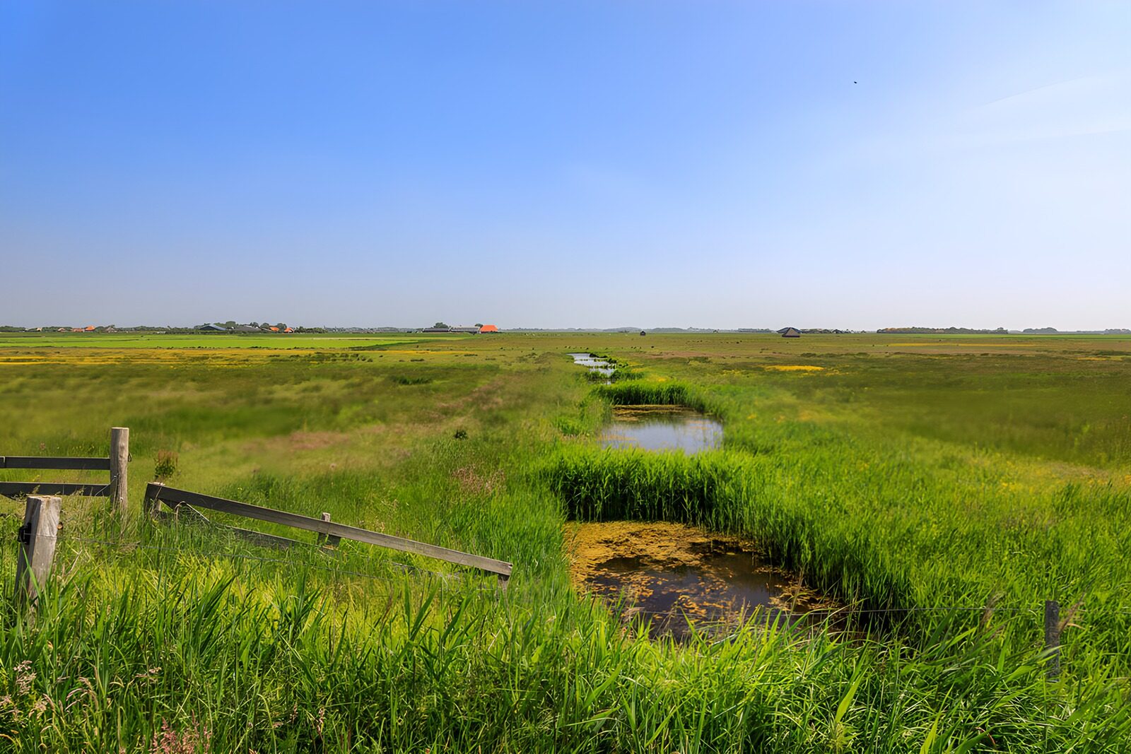 TPDE25885: Idylle der Weite: Moorlandschaft im Sommer
