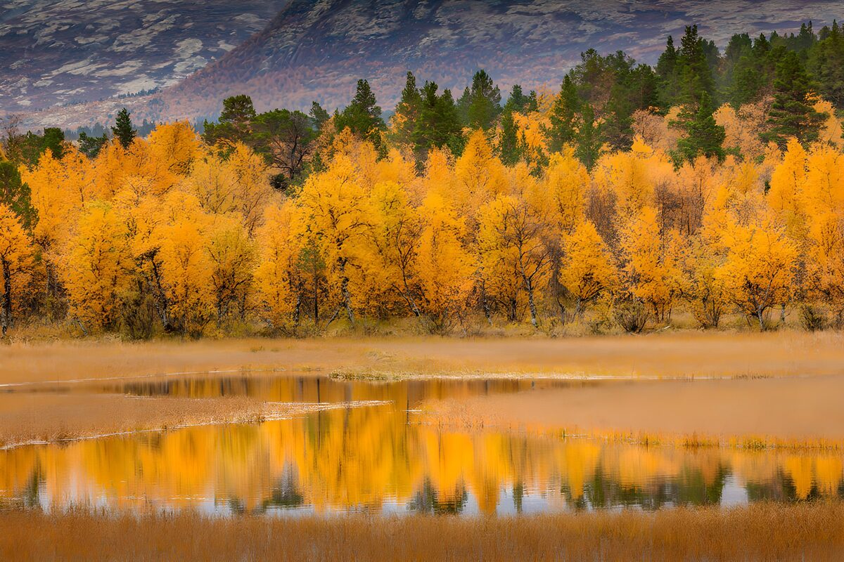 TPDE72058: Herbstliche Landschaft mit Spiegelung