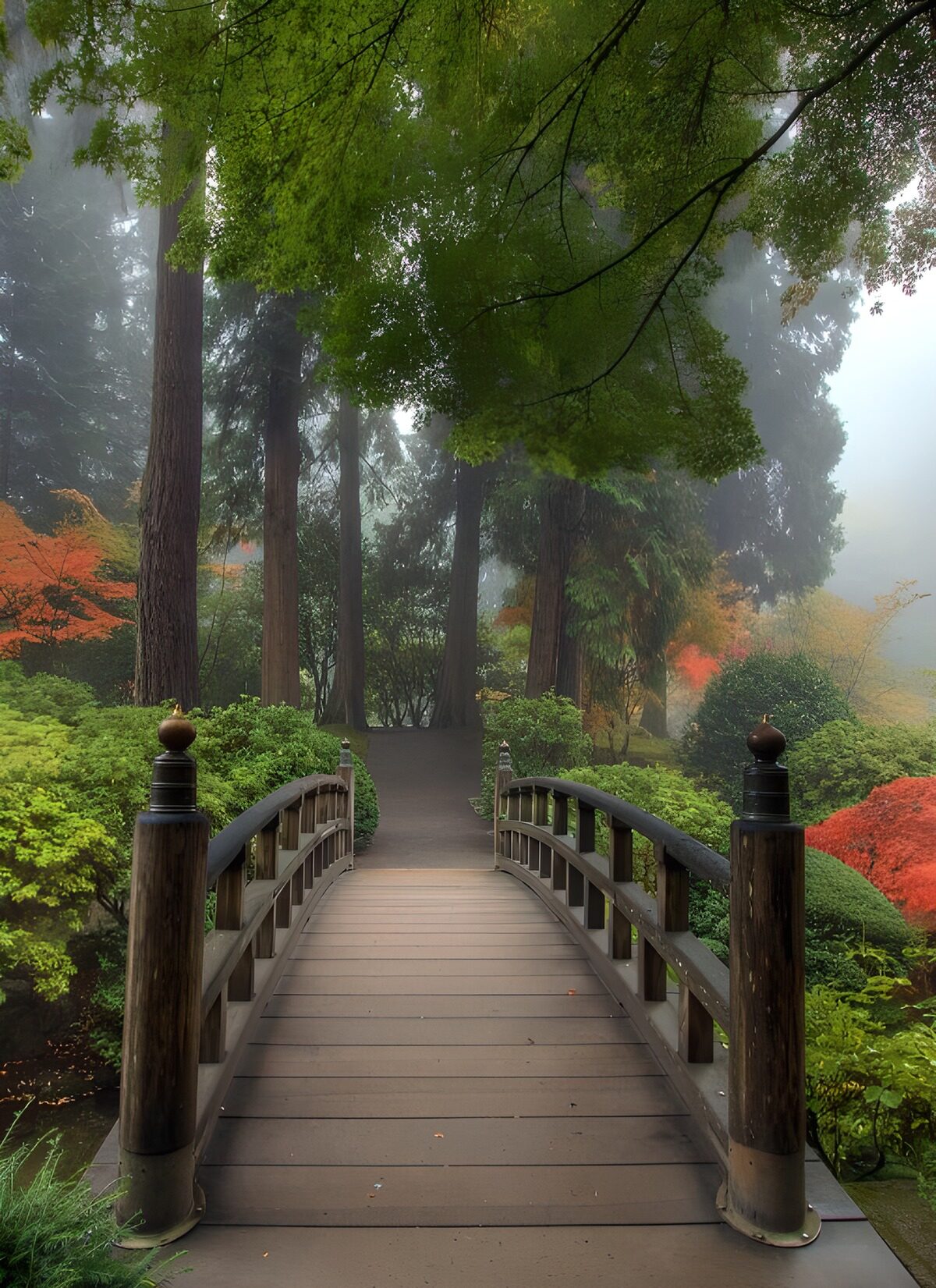 TPDE41558: Holzbrücke im Morgennebel in einem Zengarten
