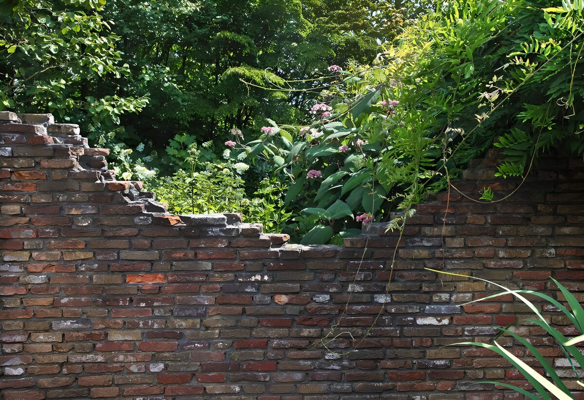 TPDE33825: die Überreste einer steinernen Mauer vor Gestrüpp