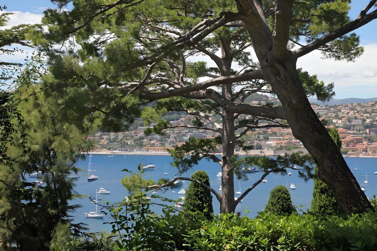TPDE14464: Aussicht auf eine Bucht, wo viele Sportboote vor Anker liegen