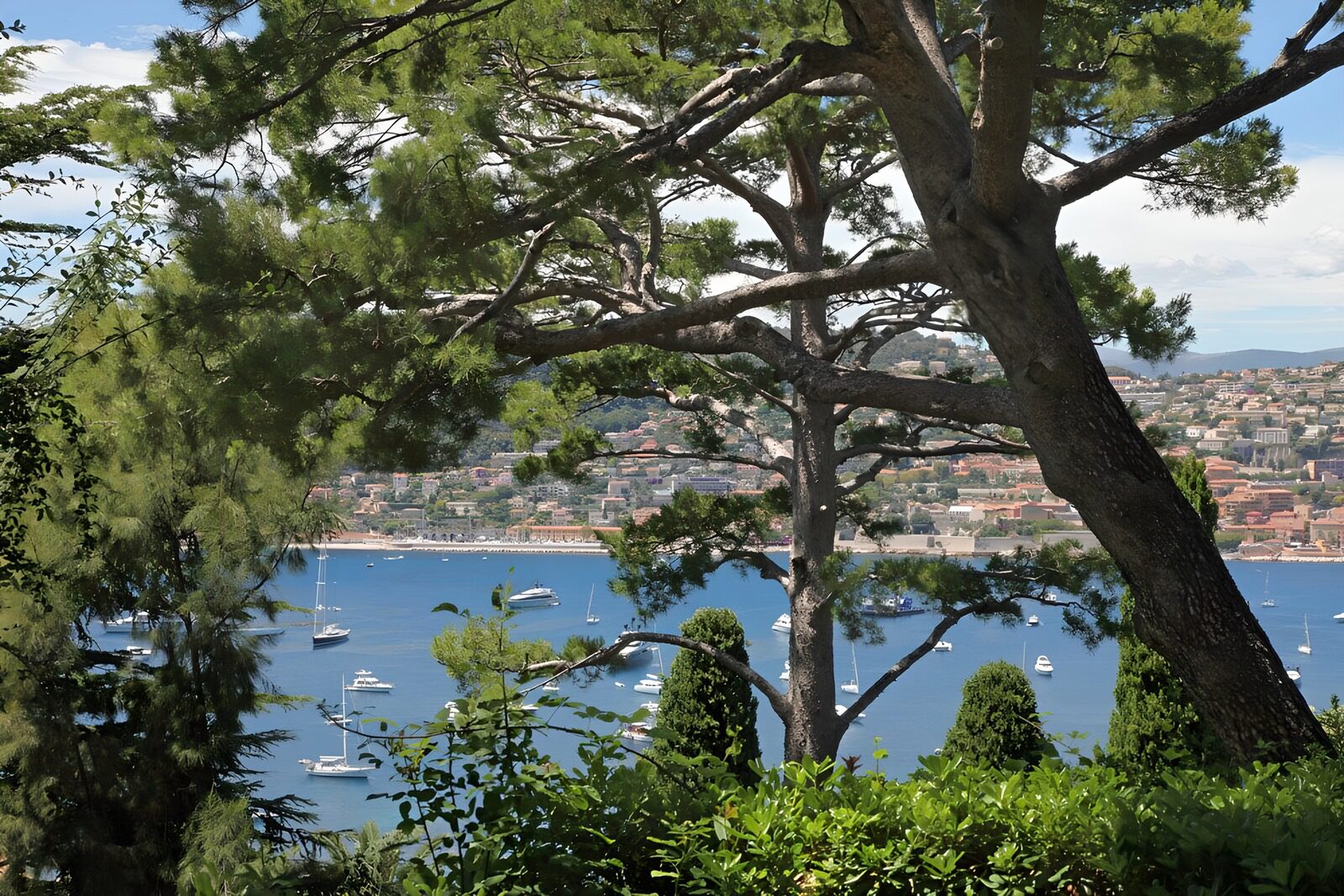 TPDE14464: Aussicht auf eine Bucht, wo viele Sportboote vor Anker liegen