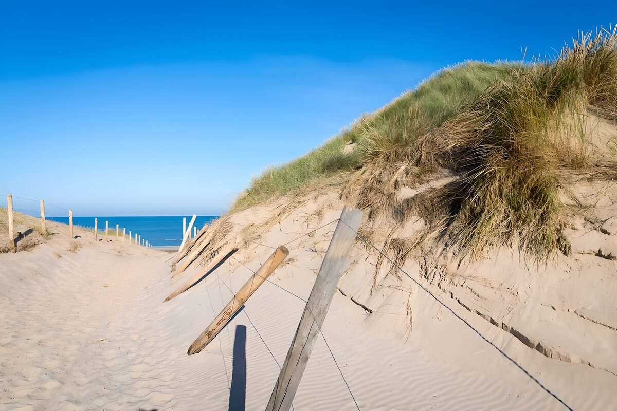 TPDE16630: Sandweg durch die Dünen auf Borkum