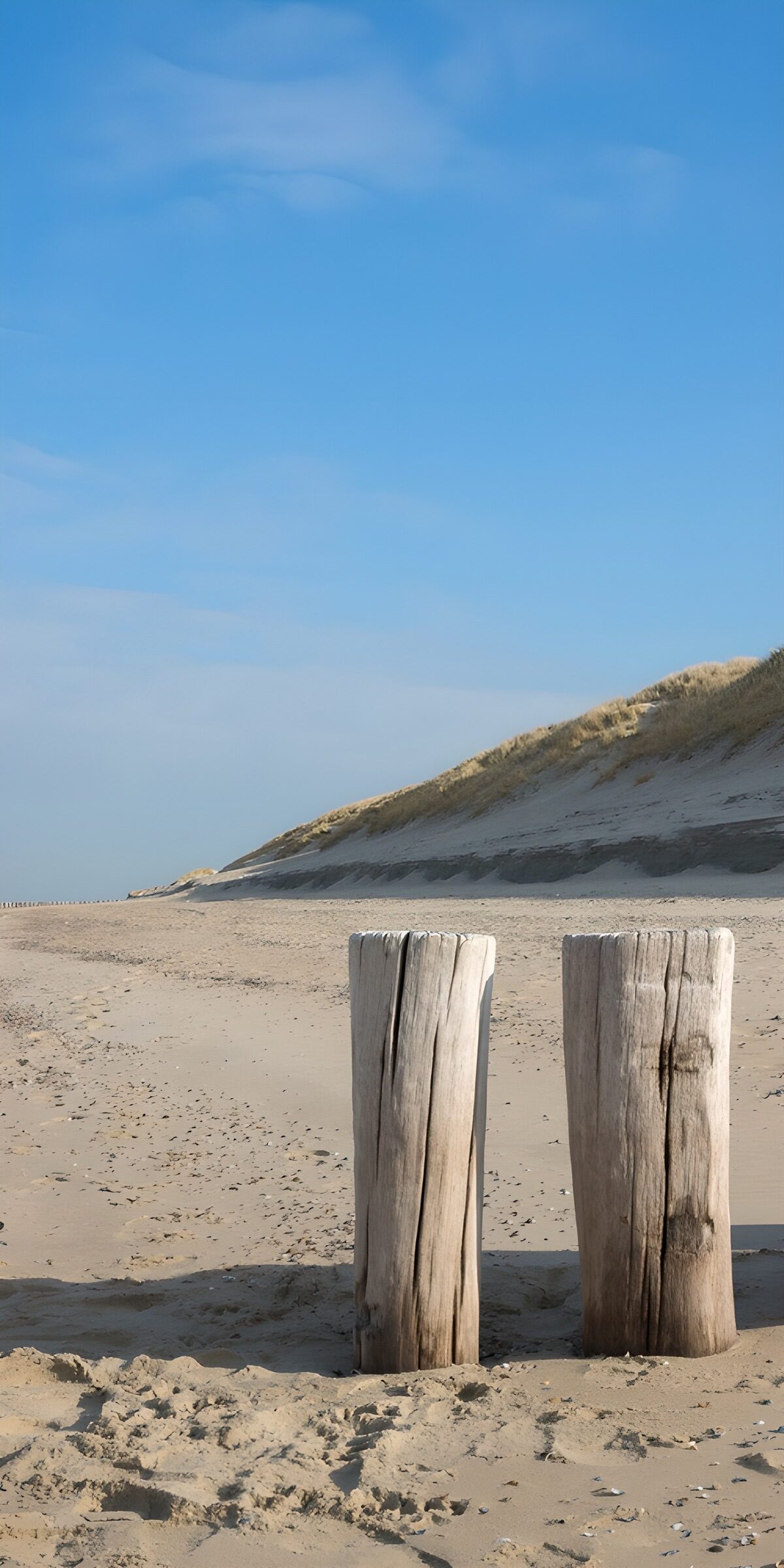 TPDE15224: Holzpflöcke am ruhigen Strand
