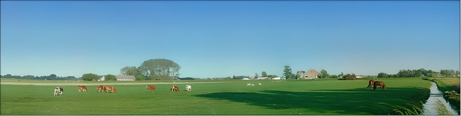 TPDE78499: niederländischer Polder