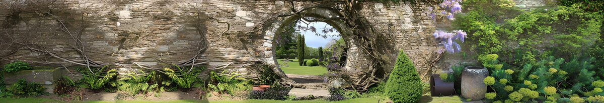 TPDE10608: Zauberhafter Gartenblick durch die Mauer