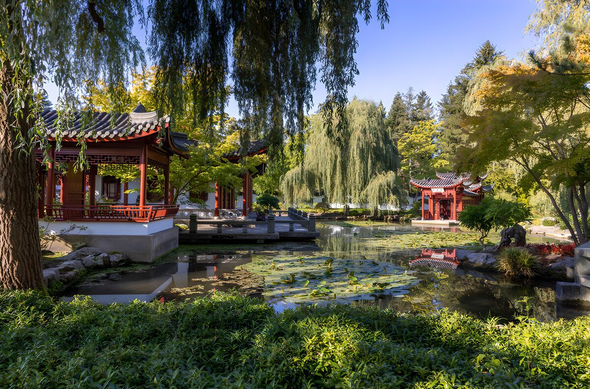 TPDE40397: Chinesischer Garten in voller Blüte