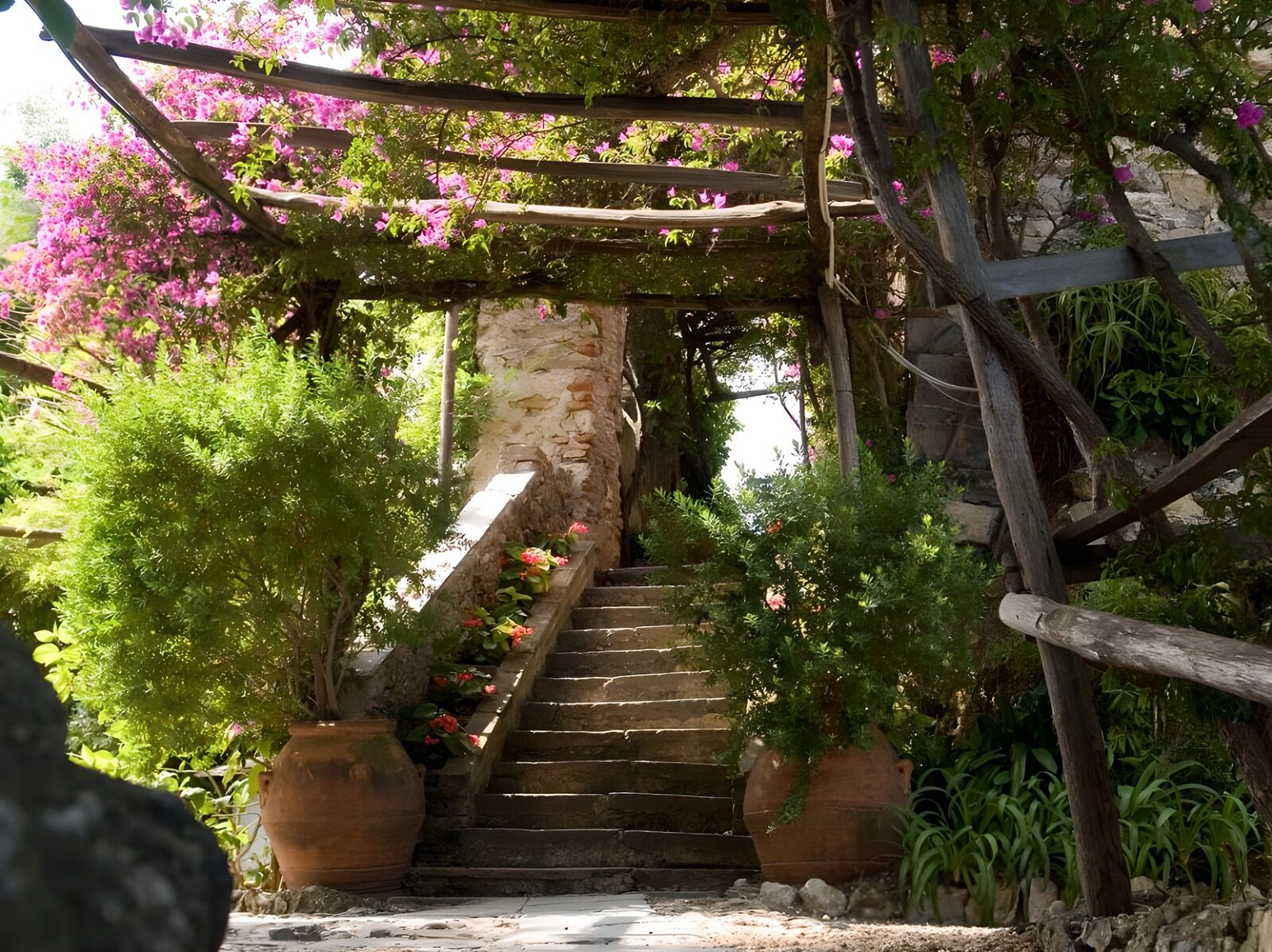 TPDE35398: Treppe mit Terrakottatöpfen und Pflanzen