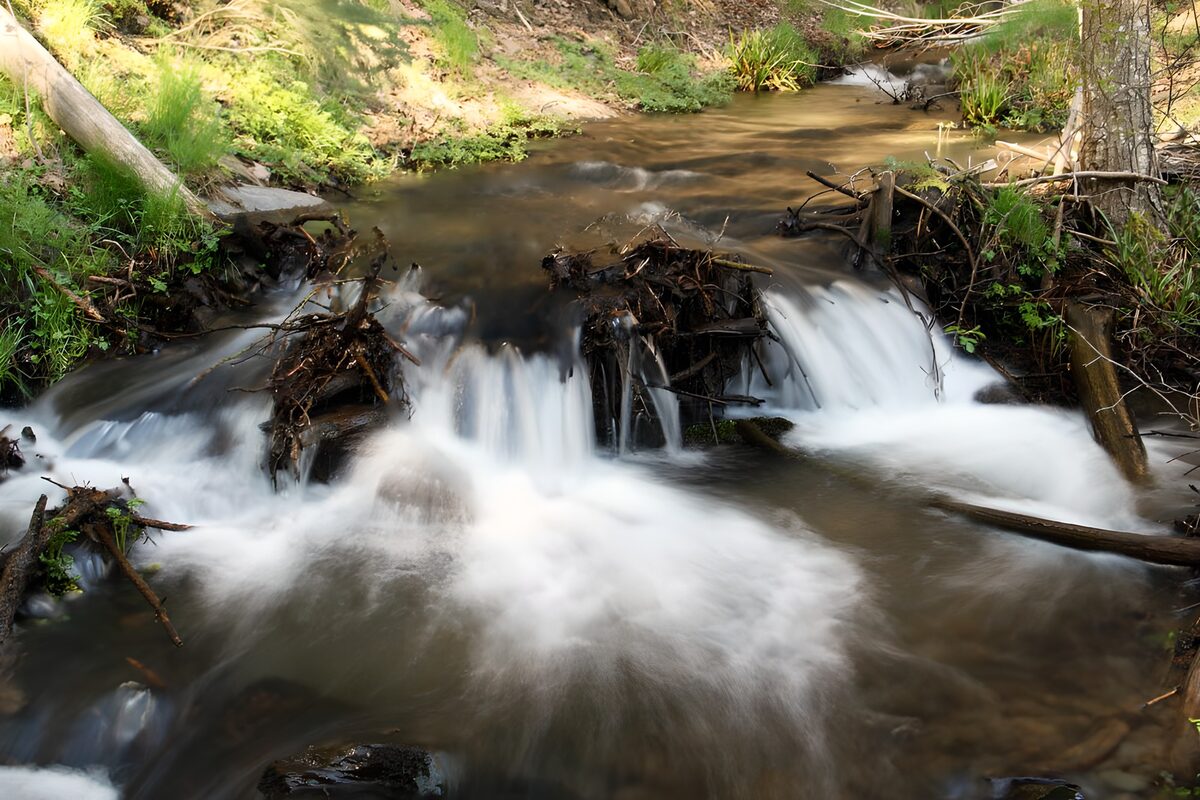 TPDE67485: Äste und Baumstämme in einem Wasserfall nach einem Gewitter