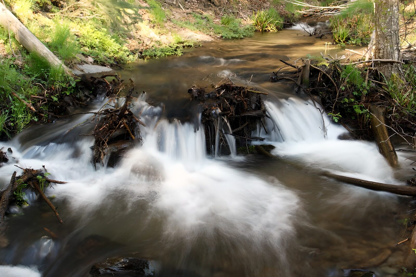 TPDE67485: Äste und Baumstämme in einem Wasserfall nach einem Gewitter