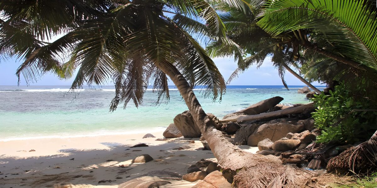 TPDE38809: schattige Stelle unter Palmen am Meer