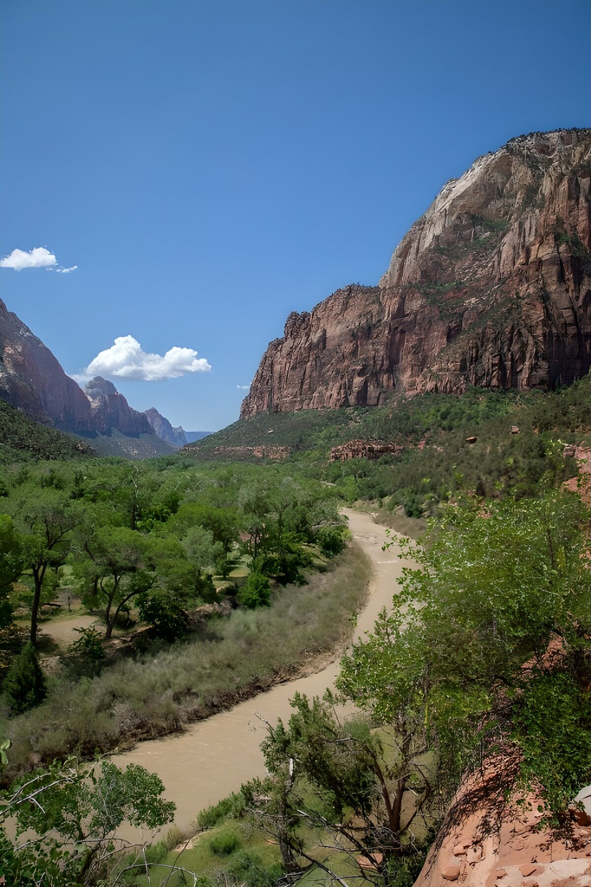 Zion Nationalpark im Sommer