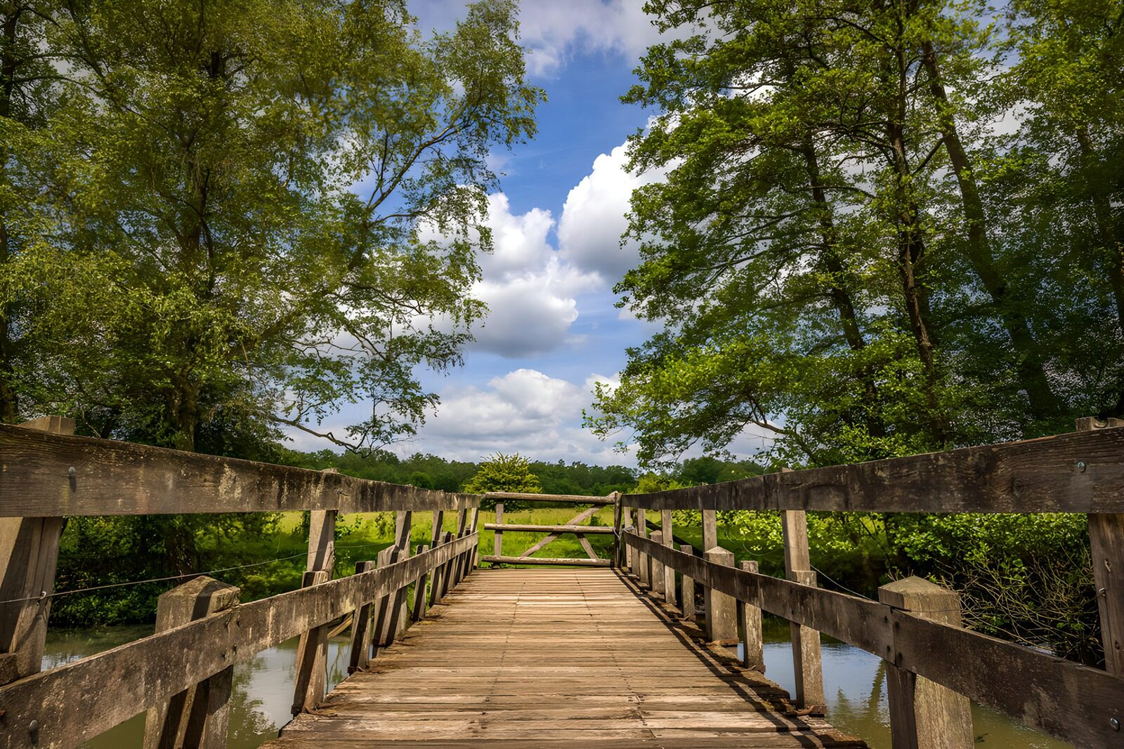 TPDE75978: Holzbrücke über ruhiges Wasser