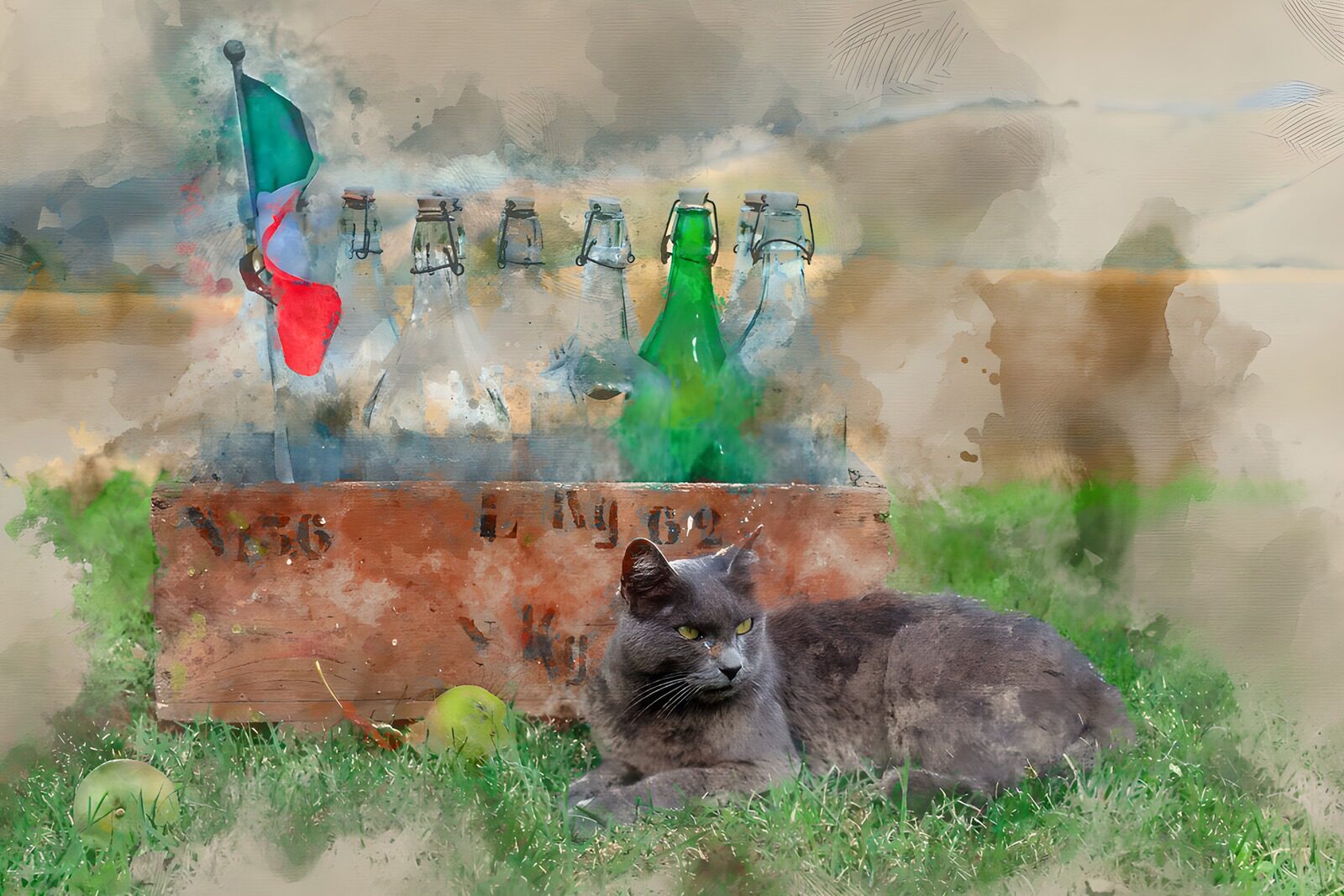 TPDE32662: Graue Katze vor Flasche und Holzbox
