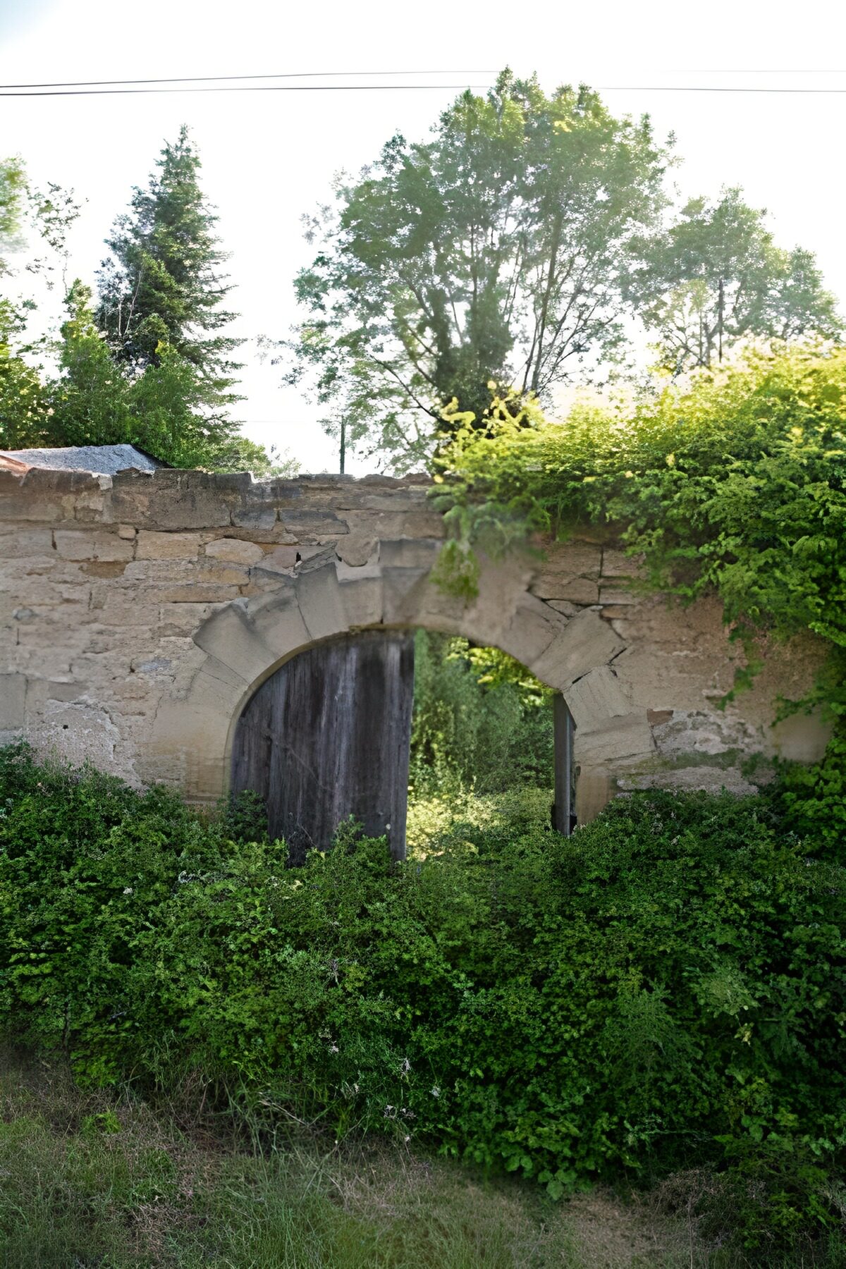 TPDE22922: Tür in einem Tor mit Mauer mit grüner Bewachsung 3