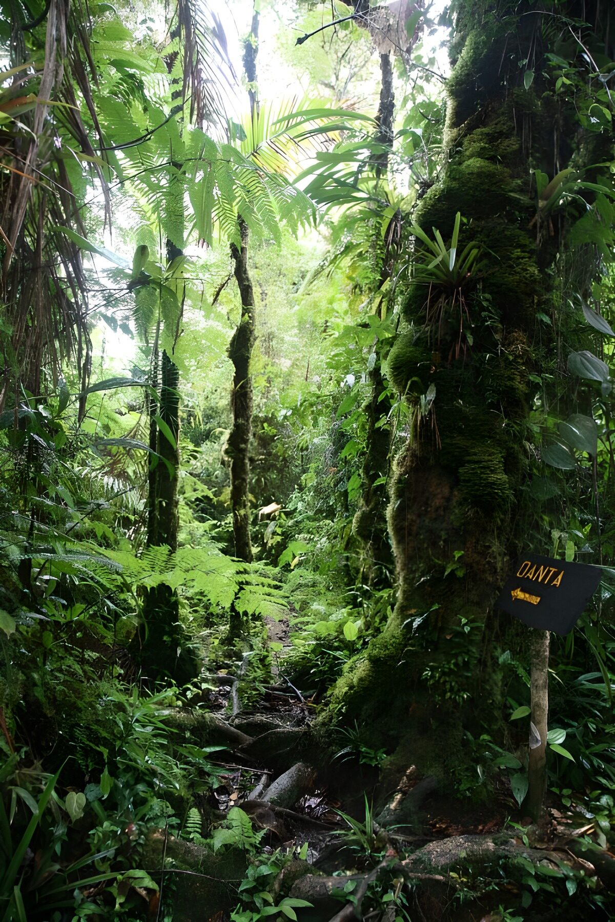 TPDE38952: abwechsreiche Vegetation auf la Gomera