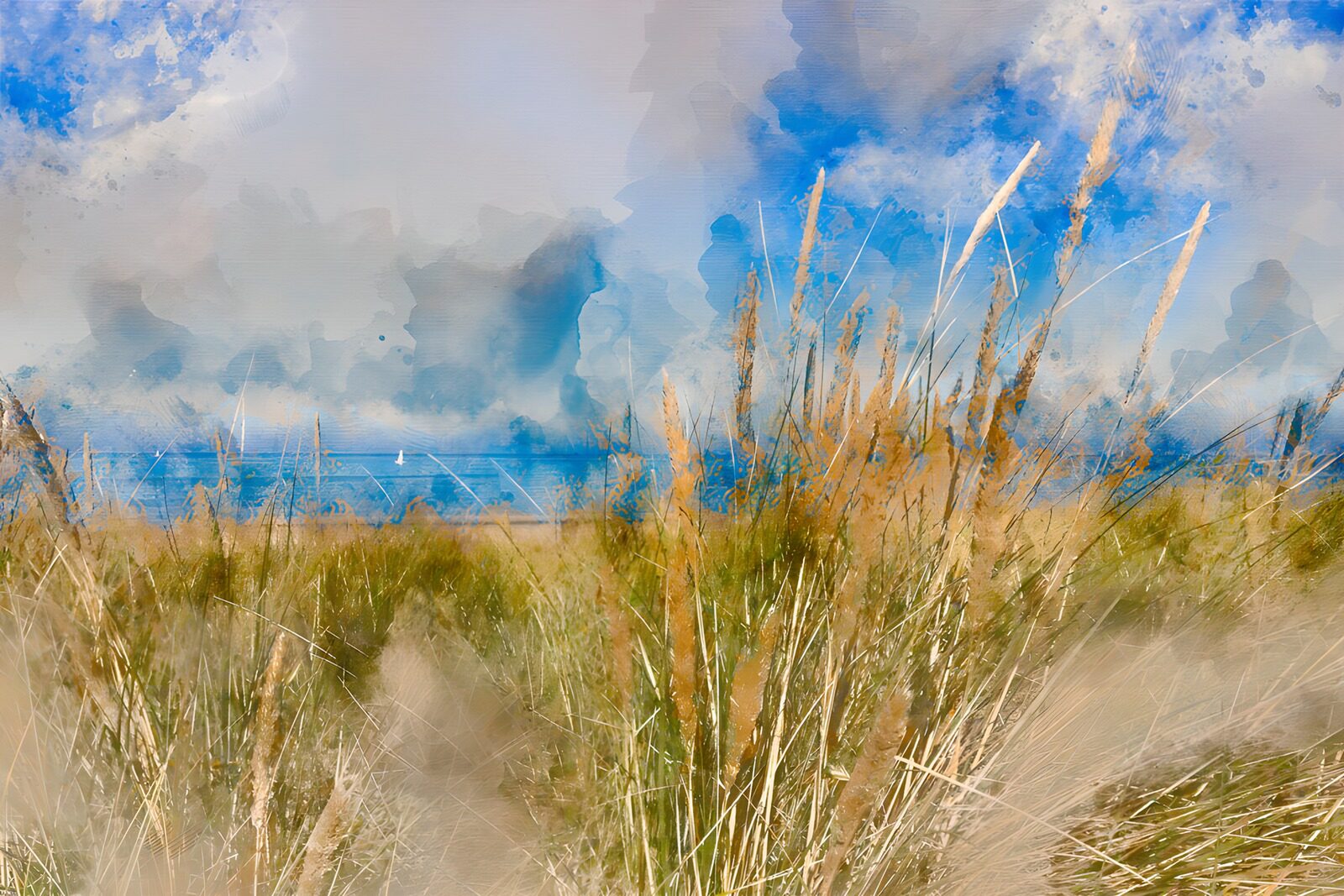 TPDE75832: Küstenlandschaft mit Gras und Himmel
