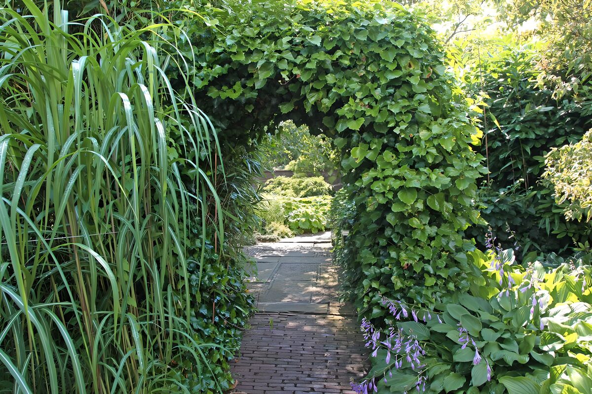 TPDE47918: Wanderweg durch einen Park im Hochsommer 