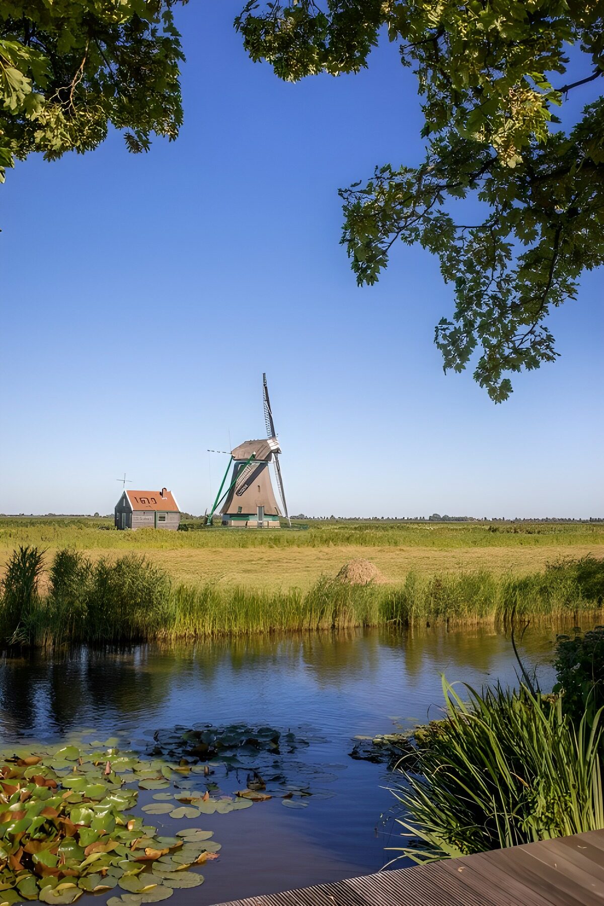 TPDE90015: Windmühlenlandschaft in voller Pracht