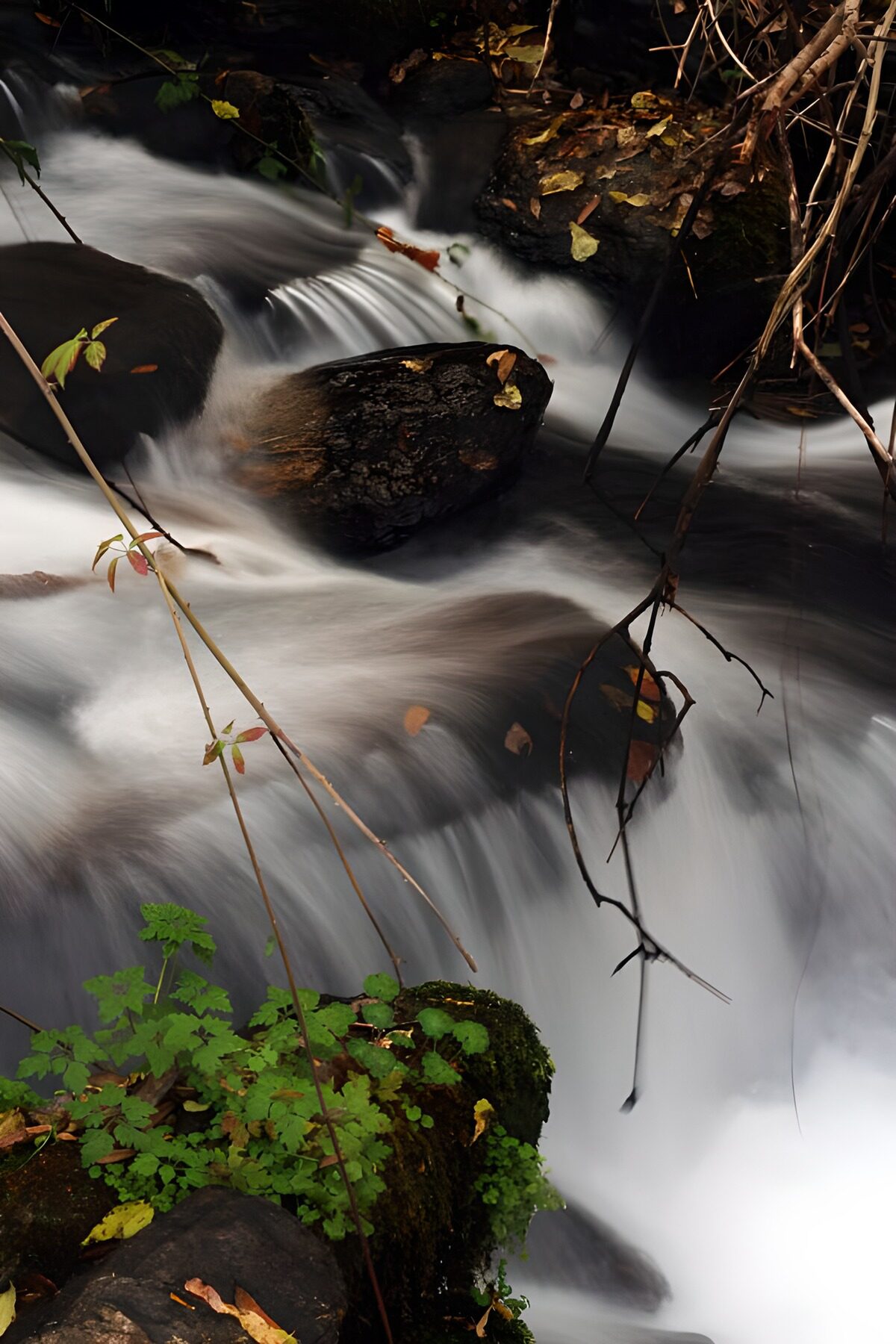 TPDE64916: das tosende Wasser eines Wasserfalls