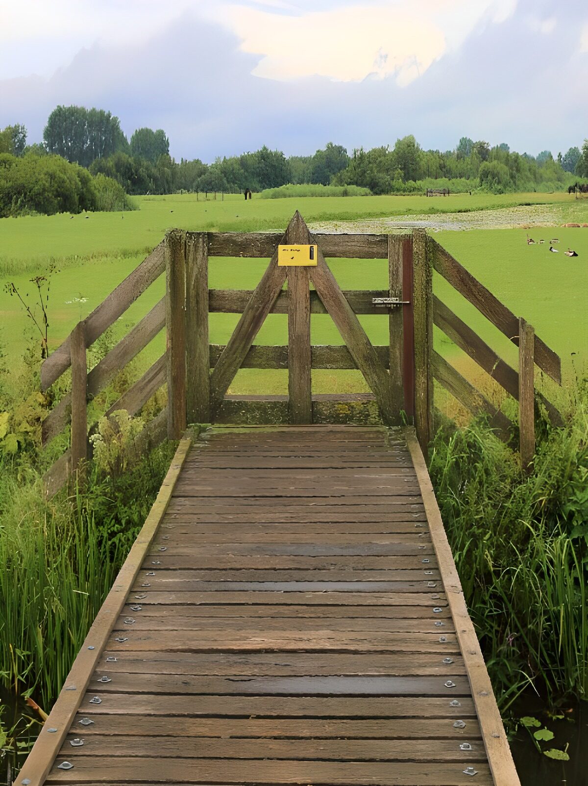 TPDE26681: Gatter zur Naturlandschaft