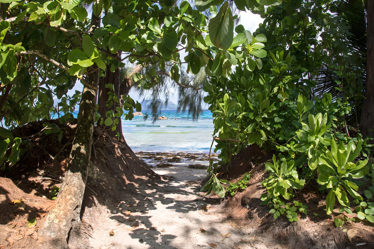 TPDE46657: Zugang zum Paradiesstrand