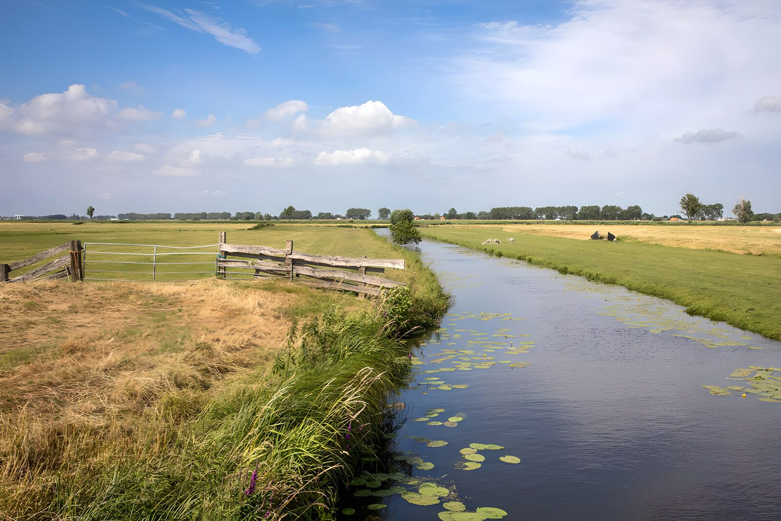 TPDE46866: Idylle am Flussrand