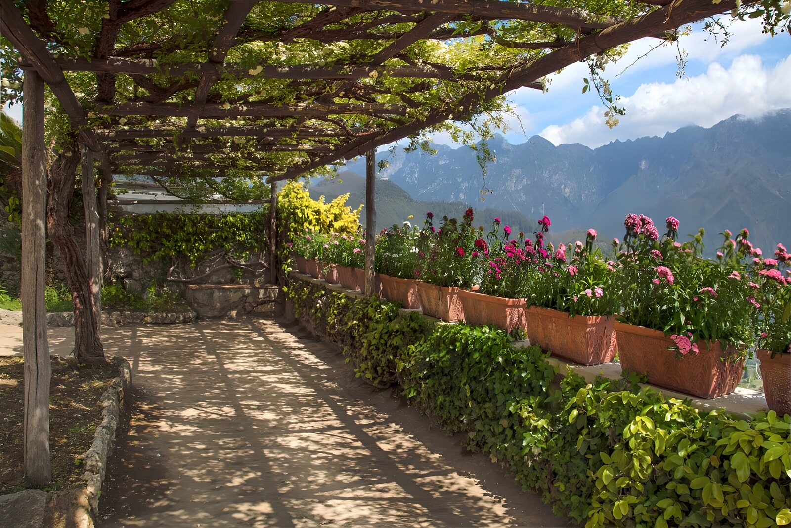 TPDE14729: Blühender Garten mit Blick auf die Berge